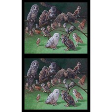 Variety of Owls Cotton Panel