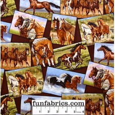 Happy Trails Horses Frames Cotton