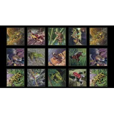 Amazing Frogs Black Cotton Panel