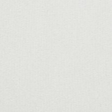 1 yard piece White Minky Cuddle 90 wide