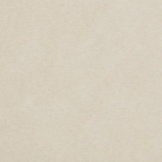 1 1/4 yard piece Ivory Minky Cuddle 90 wide