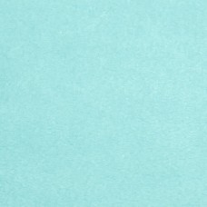 1 3/8 yard piece Salt Water Minky Cuddle 90 wide