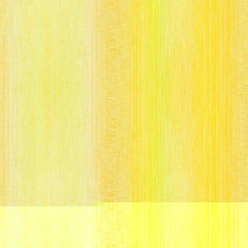 1 3/4 yard piece Ombre Yellow Cotton Quilt Back