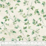 Ivy Ivory 108 Wide Cotton