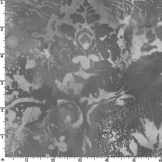 Dark Gray Vintage Damask Cotton Quilt Back